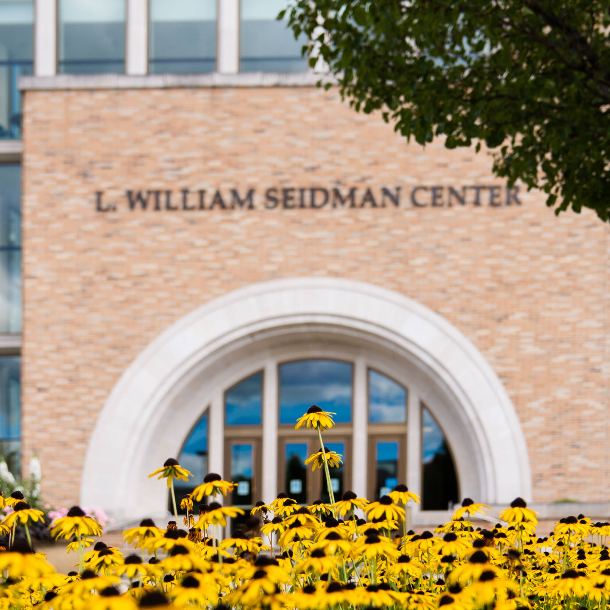 Yellow Flowers with Seidman building in background